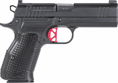 Dan Wesson DWX Compact